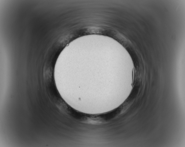 X0000083560603200703091618