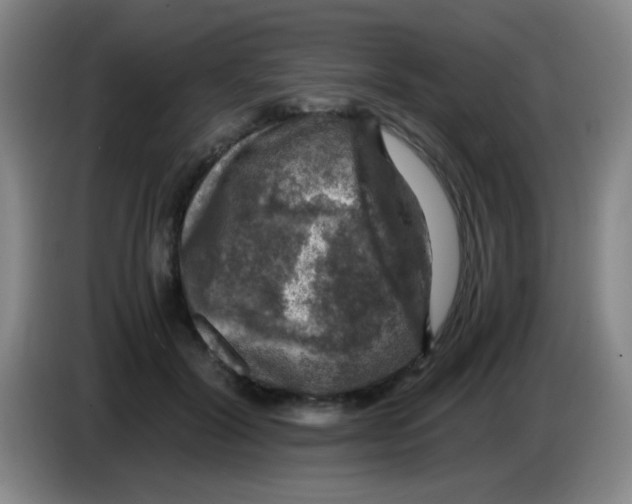 X0000083560604200703091618