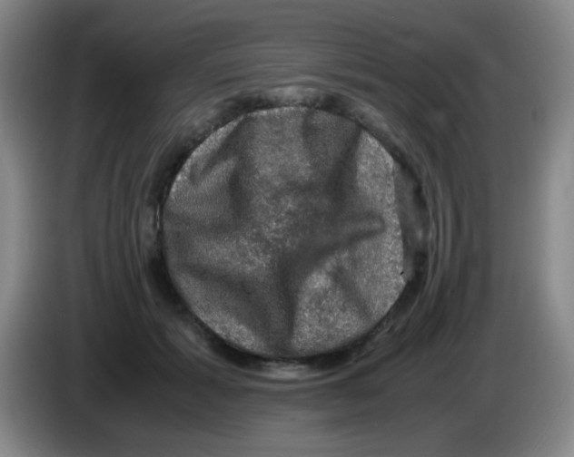 X0000083560605200703091618