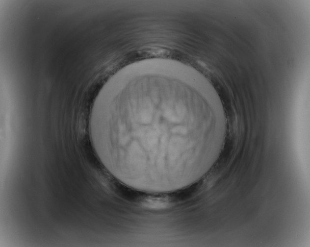 X0000083560606200703091618