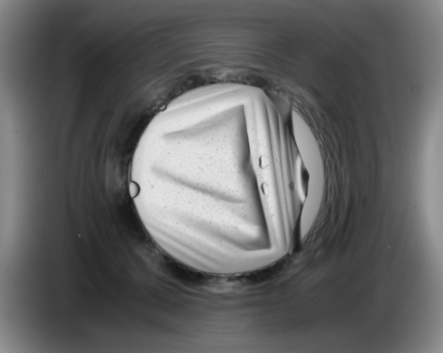 X0000083560607200703091618