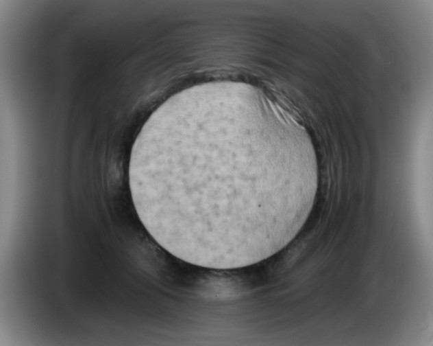 X0000083560608200703091618