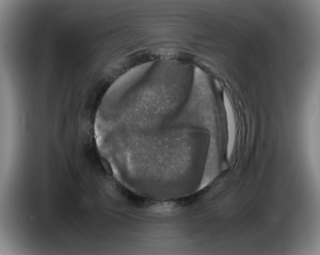 X0000083560609200703091618