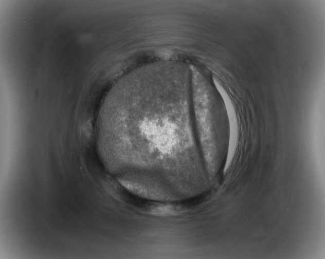 X0000083560611200703091618