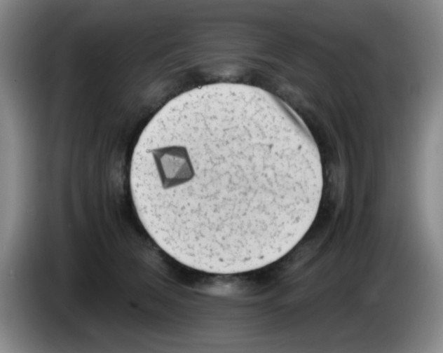 X0000083560612200703091618