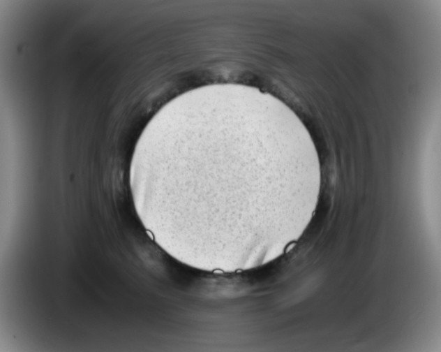 X0000083560615200703091617