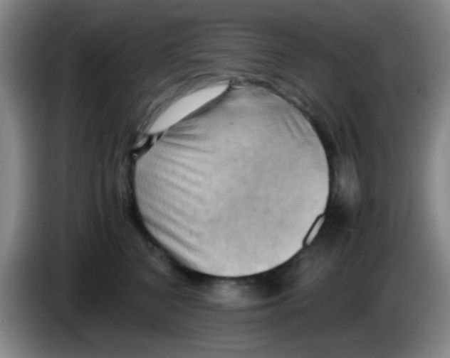 X0000083560616200703091617