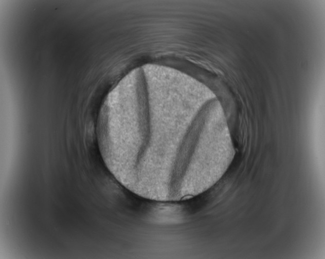 X0000083560617200703091617