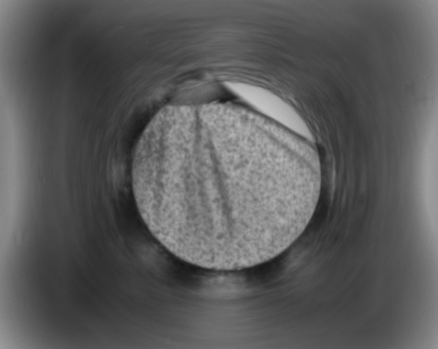 X0000083560619200703091617