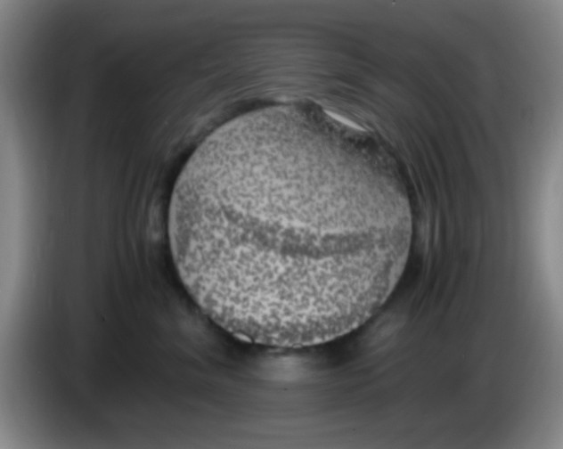 X0000083560620200703091617