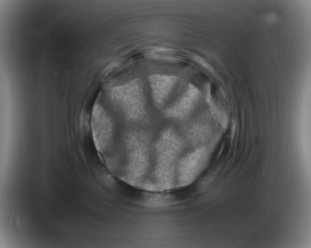 X0000083560621200703091617