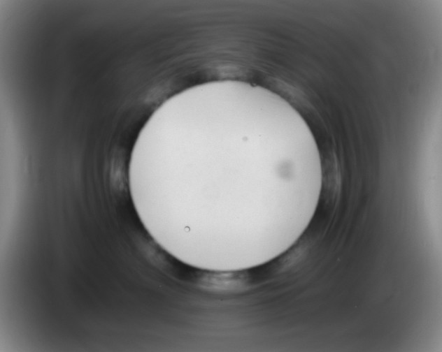 X0000083560622200703091617