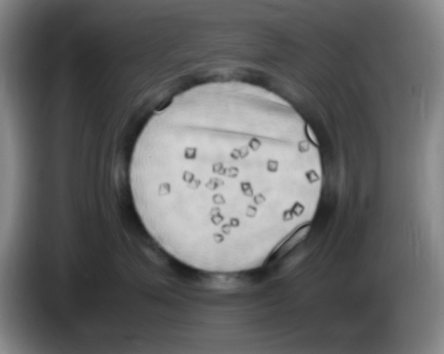 X0000083560623200703091617