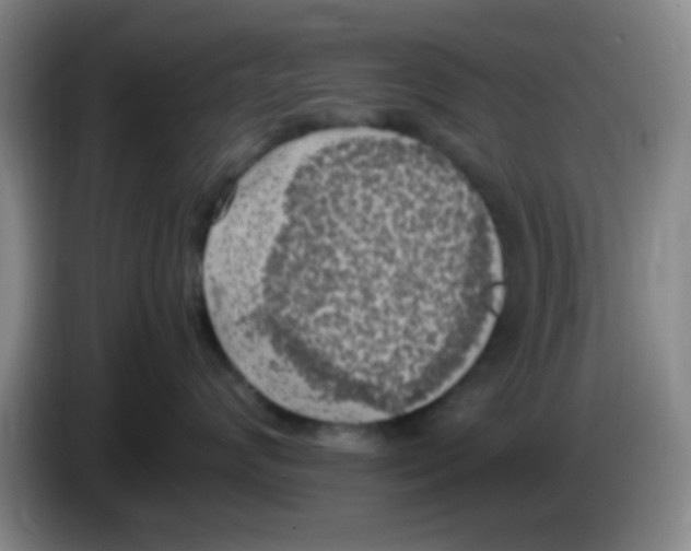 X0000083560624200703091617