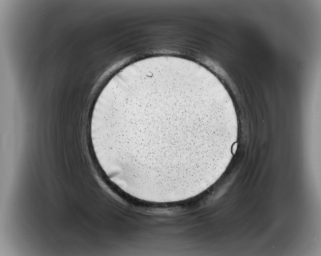 X0000083560625200703091617