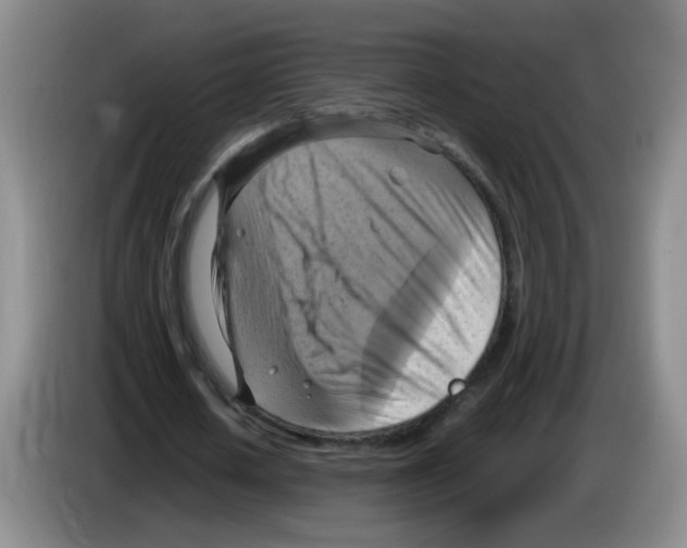 X0000083560626200703091617