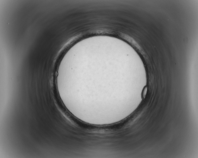 X0000083560629200703091617