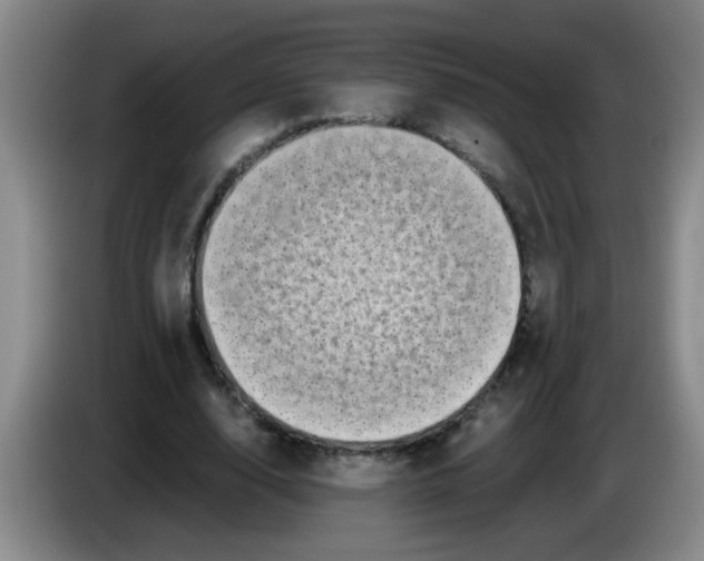 X0000083560632200703091617