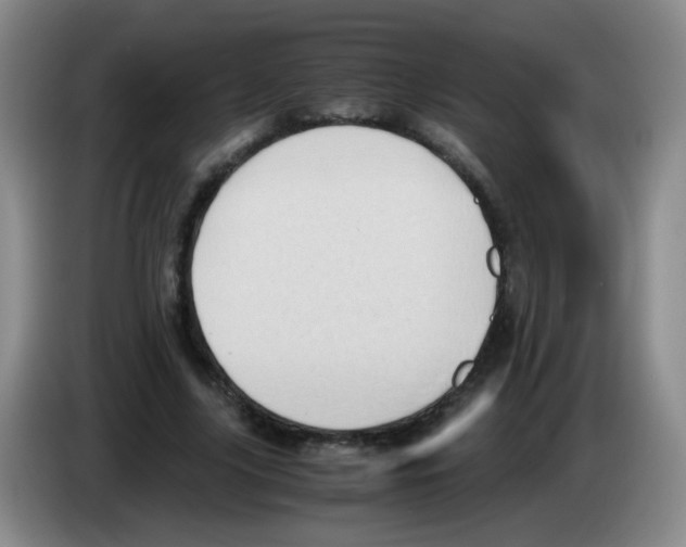 X0000083560635200703091617