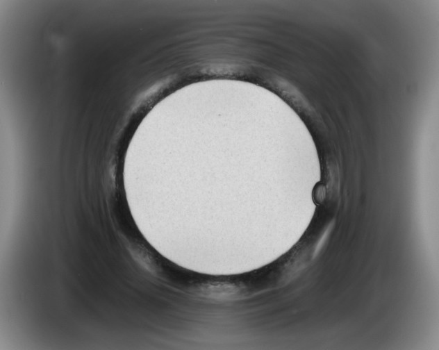 X0000083560636200703091617