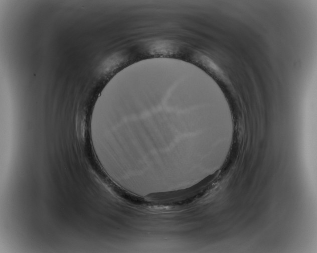 X0000083560637200703091617