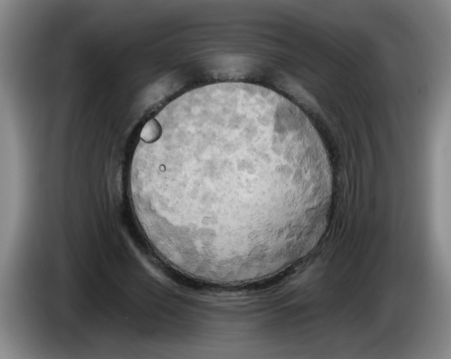 X0000083560638200703091617