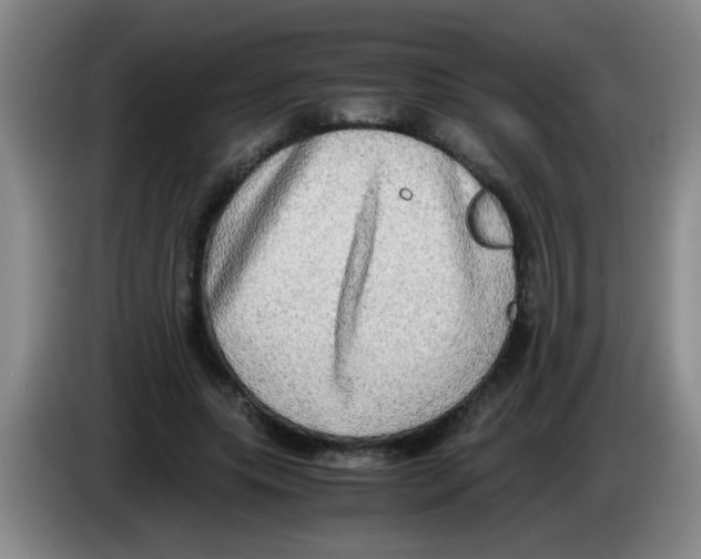 X0000083560639200703091617