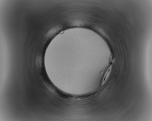 X0000083560640200703091617