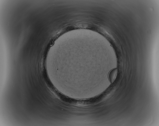 X0000083560641200703091617