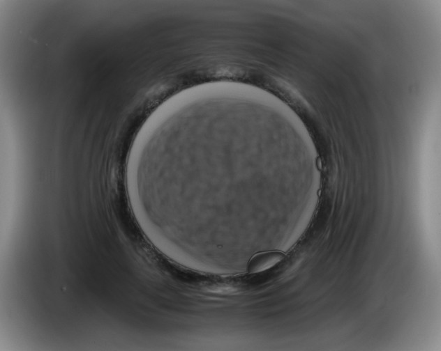 X0000083560643200703091617