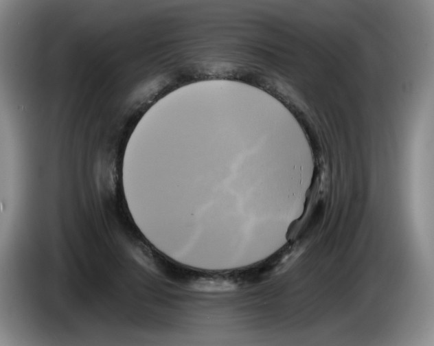 X0000083560644200703091617