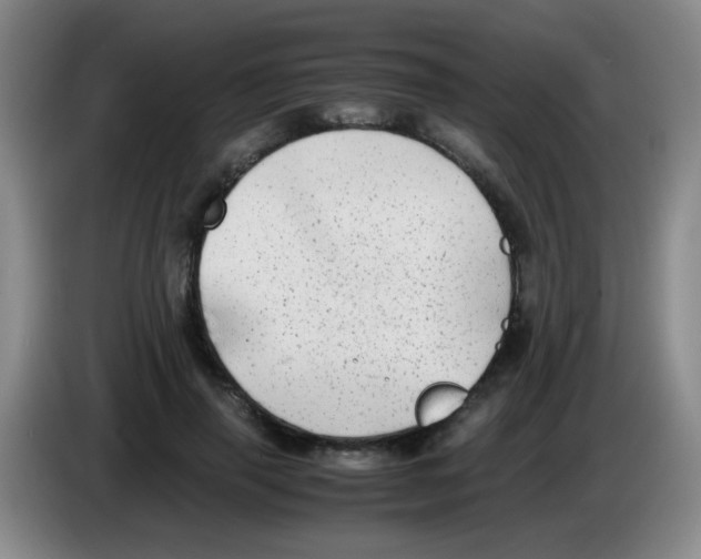 X0000083560645200703091617