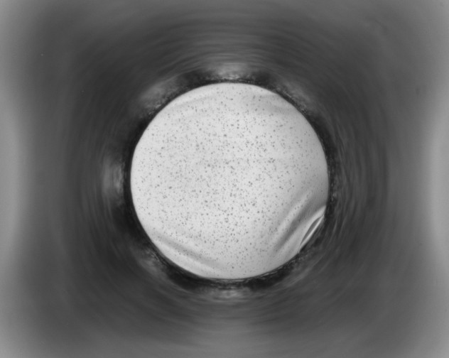 X0000083560646200703091617