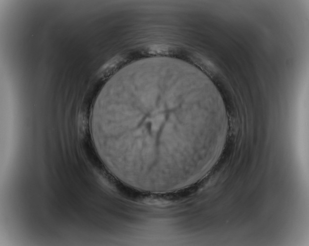 X0000083560648200703091617