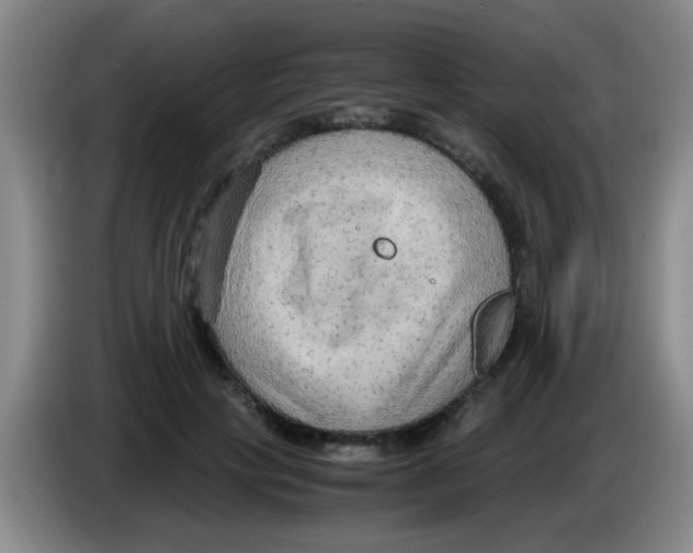 X0000083560649200703091617