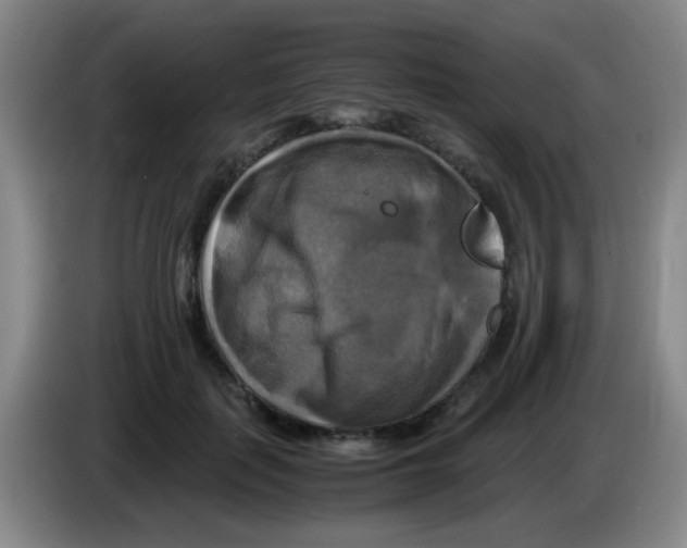 X0000083560651200703091617