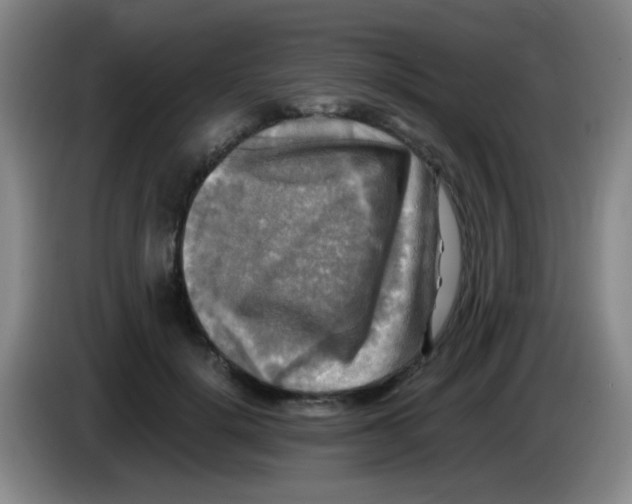 X0000083560652200703091617