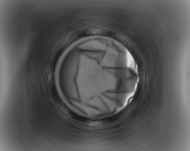 X0000083560653200703091617