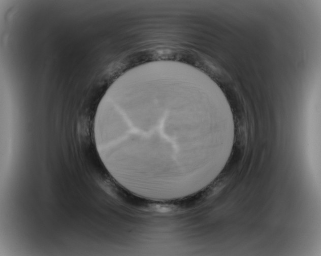 X0000083560654200703091617