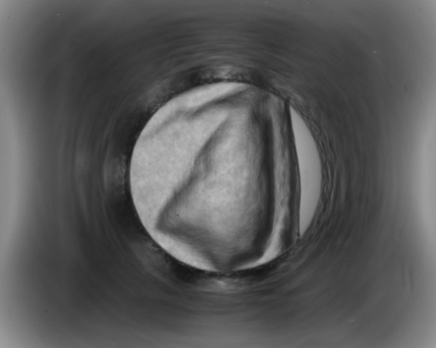 X0000083560657200703091617