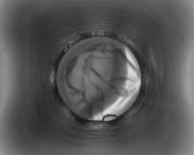 X0000083560661200703091617