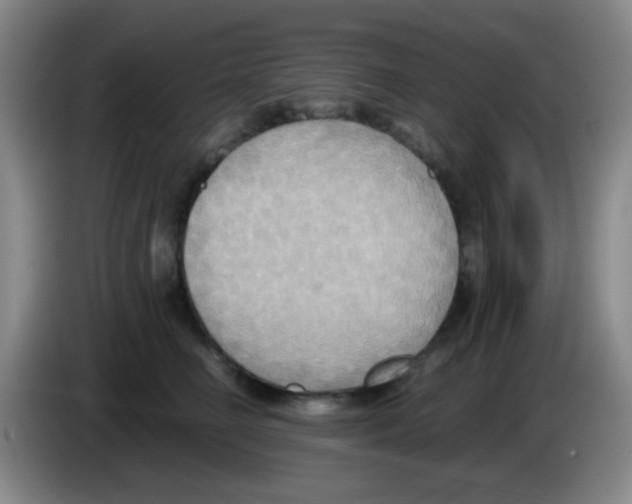 X0000083560662200703091617