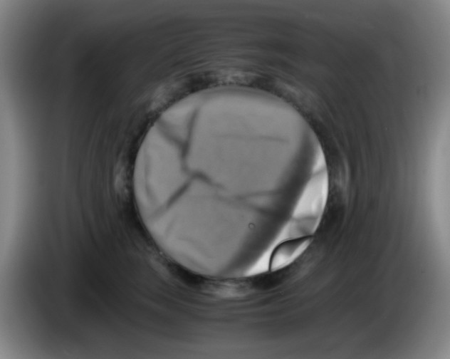 X0000083560663200703091617