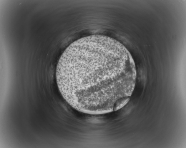 X0000083560664200703091617