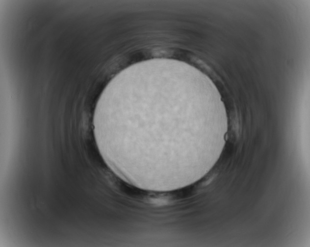 X0000083560667200703091617