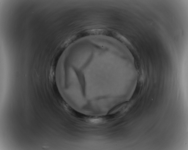 X0000083560669200703091617