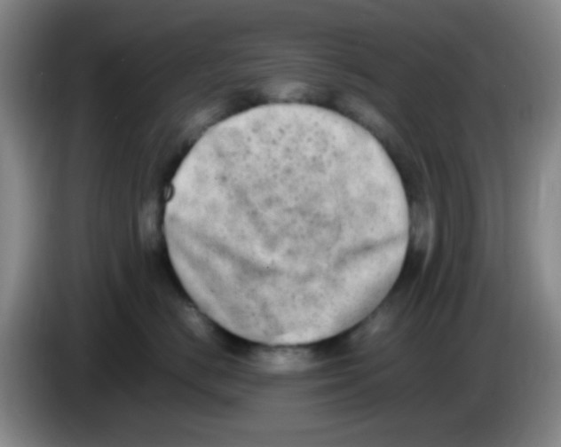 X0000083560670200703091617