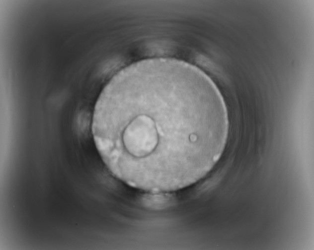 X0000083560672200703091617