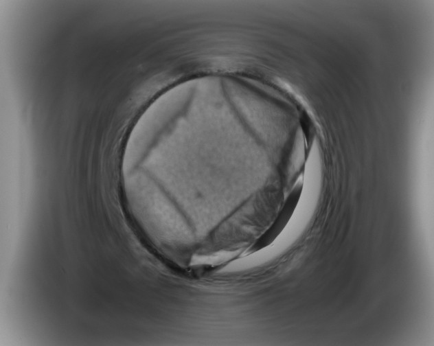 X0000083560673200703091617