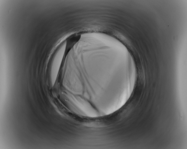 X0000083560674200703091617